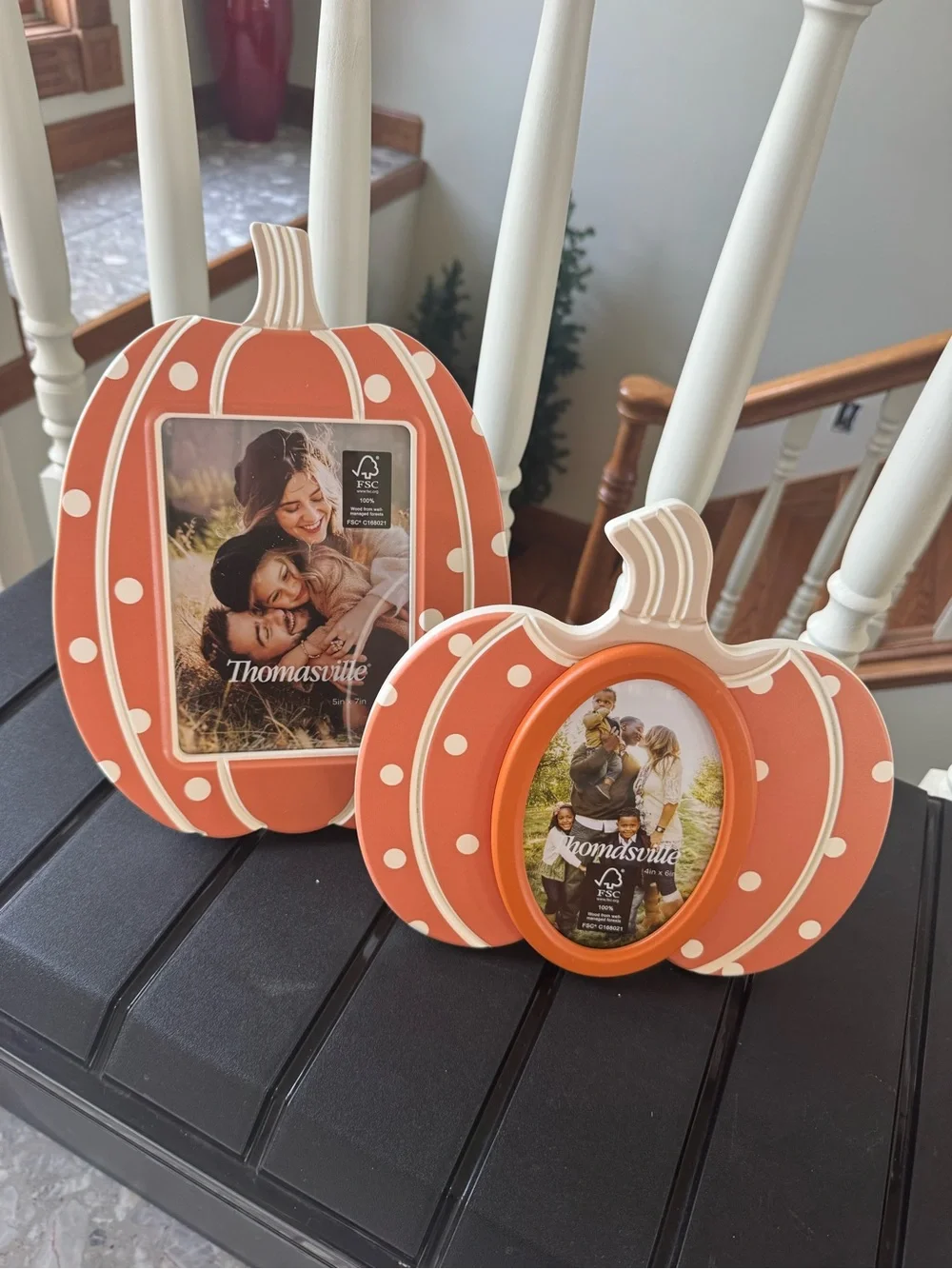 THOMASVILLE FALL ORANGE POLKA DOT PICTURE FRAMES SET 2 NEW